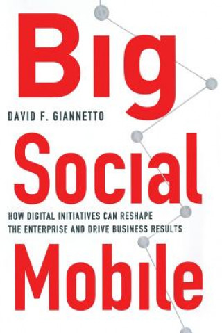 Livre Big Social Mobile D. Giannetto