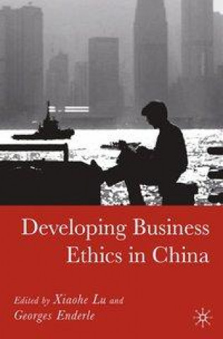 Kniha Developing Business Ethics in China 