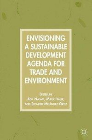 Kniha Envisioning a Sustainable Development Agenda for Trade and Environment 
