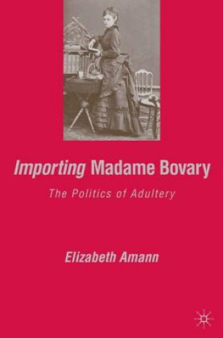 Kniha Importing Madame Bovary E. Amann