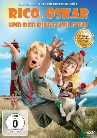 Video Rico, Oskar und der Diebstahlstein, 1 DVD Andreas Steinhöfel