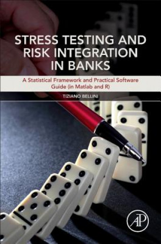 Kniha Stress Testing and Risk Integration in Banks Tiziano Bellini