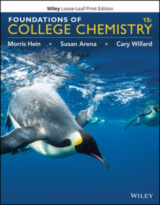 Kniha Foundations of College Chemistry Morris Hein