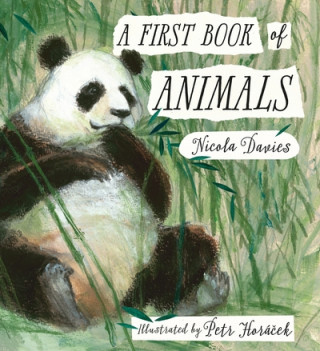 Könyv First Book of Animals Nicola Davies