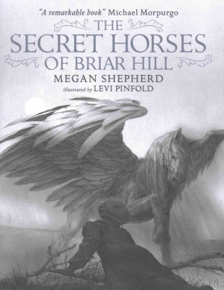 Książka Secret Horses of Briar Hill Megan Shepherd