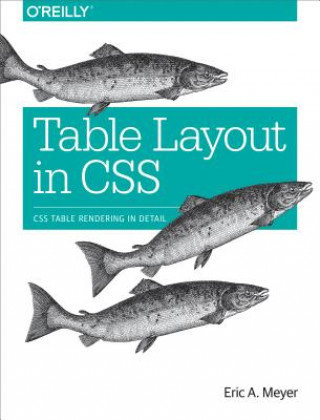 Kniha Table Layout in CSS Eric A. Meyer