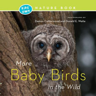 Carte More Baby Birds in the Wild Damon Calderwood