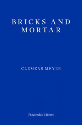 Kniha Bricks and Mortar Clemens Meyer