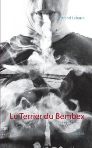 Carte Terrier du Bembex Bertrand Labarre