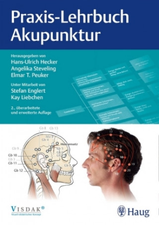 Kniha Praxis-Lehrbuch Akupunktur Hans Ulrich Hecker