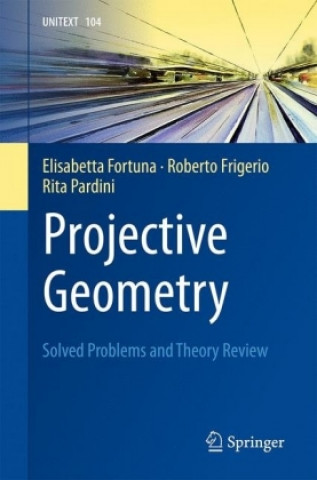 Kniha Projective Geometry Elisabetta Fortuna
