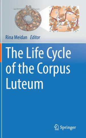 Könyv Life Cycle of the Corpus Luteum Rina Meidan
