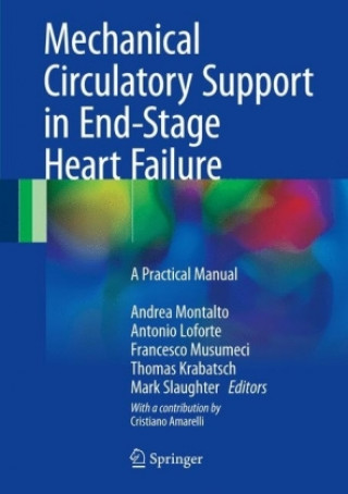 Könyv Mechanical Circulatory Support in End-Stage Heart Failure Andrea Montalto
