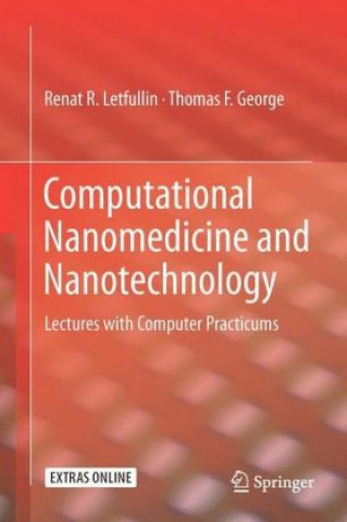 Könyv Computational Nanomedicine and Nanotechnology Renat R. Letfullin