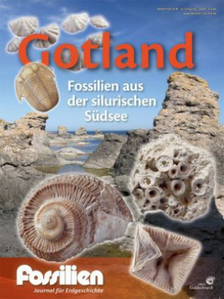 Książka Gotland - Fossilien aus der silurischen Südsee 