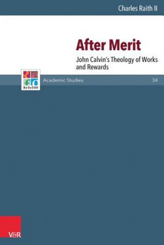 Βιβλίο After Merit Charles Raith