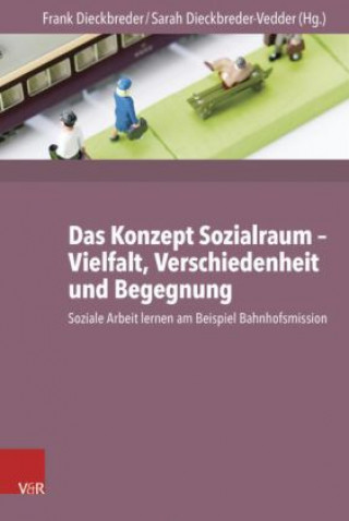 Kniha Das Konzept Sozialraum: Vielfalt, Verschiedenheit und Begegnung Sarah Dieckbreder-Vedder
