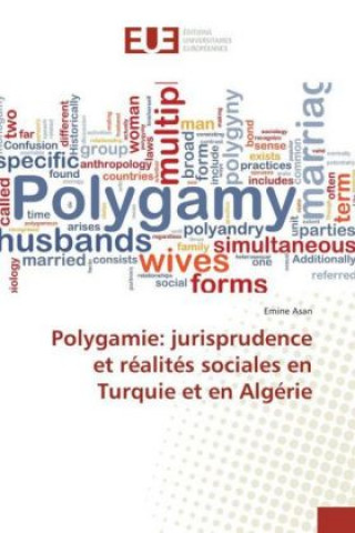 Kniha Polygamie: jurisprudence et réalités sociales en Turquie et en Algérie Emine Asan