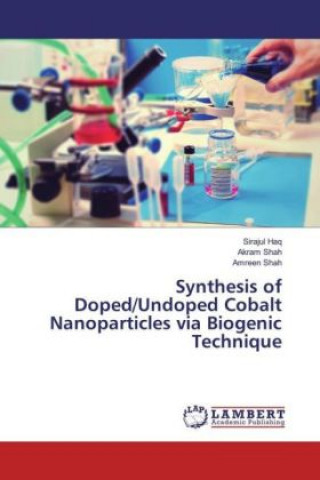 Könyv Synthesis of Doped/Undoped Cobalt Nanoparticles via Biogenic Technique Sirajul Haq