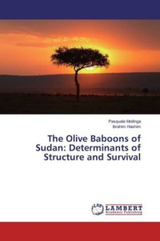 Kniha The Olive Baboons of Sudan: Determinants of Structure and Survival Pasquale Moilinga