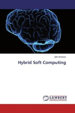 Knjiga Hybrid Soft Computing Ajith Abraham