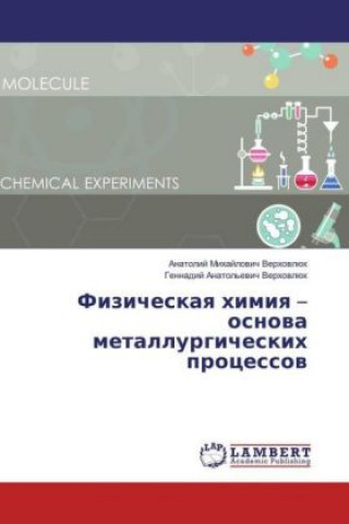 Kniha Fizicheskaq himiq - osnowa metallurgicheskih processow Anatolij Mihajlovich Verhovljuk