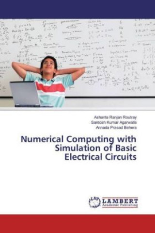 Βιβλίο Numerical Computing with Simulation of Basic Electrical Circuits Ashanta Ranjan Routray