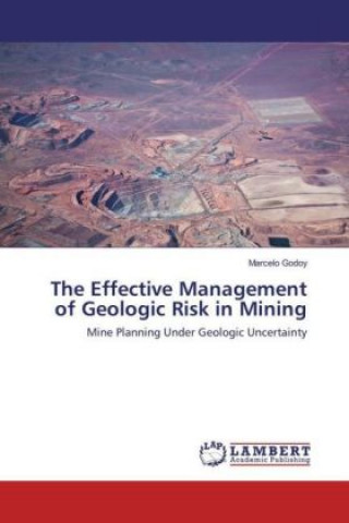 Książka The Effective Management of Geologic Risk in Mining Marcelo Godoy