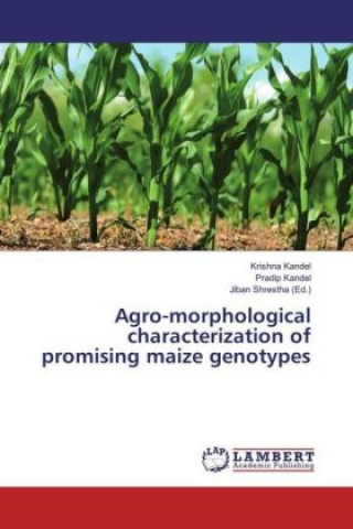 Könyv Agro-morphological characterization of promising maize genotypes Krishna Kandel