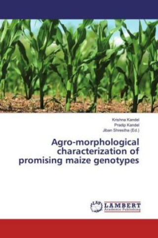 Książka Agro-morphological characterization of promising maize genotypes Krishna Kandel