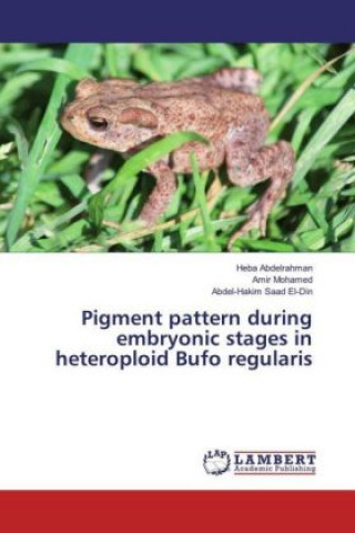 Kniha Pigment pattern during embryonic stages in heteroploid Bufo regularis Heba Abdelrahman