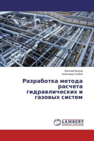 Könyv Razrabotka metoda rascheta gidravlicheskih i gazovyh sistem Vasilij Volkov