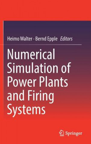 Książka Numerical Simulation of Power Plants and Firing Systems Heimo Walter