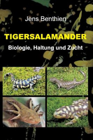 Knjiga Tigersalamander Jens Benthien