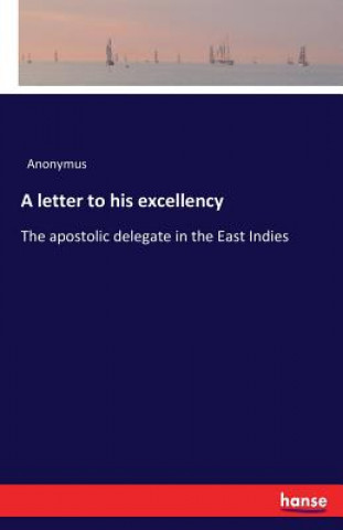 Knjiga letter to his excellency Anonymus