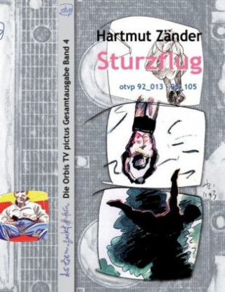 Buch Sturzflug Hartmut Zänder