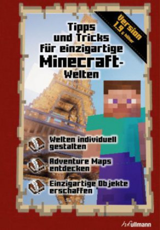 Kniha Tipps und Tricks für einzigartige Minecraft-Welten Stéphane Pilet