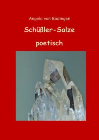 Książka Schüßler-Salze poetisch Angela von Büdingen