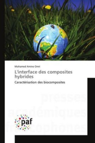 Kniha L'interface des composites hybrides Mohamed Amine Omri