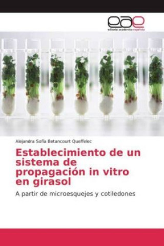 Kniha Establecimiento de un sistema de propagación in vitro en girasol Alejandra Sofía Betancourt Queffelec