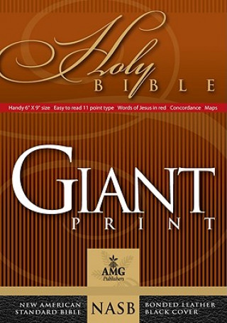 Kniha Holy Bible Amg Publishers