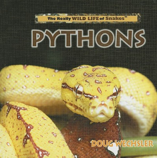 Knjiga Pythons Doug Wechsler