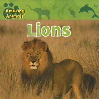 Knjiga Lions Sarah Albee