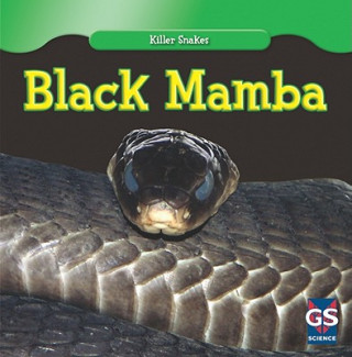 Boek Black Mamba Angelo Gangemi