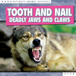 Buch Tooth and Nail Agatha Gregson