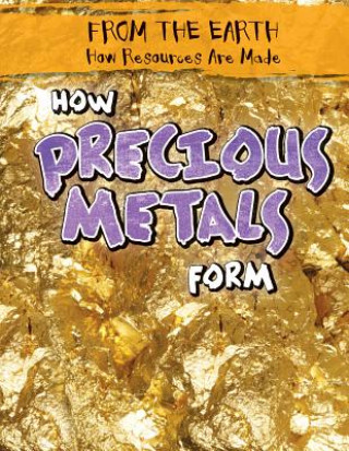 Knjiga How Precious Metals Form Julia McDonnell