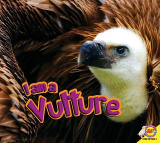 Carte Vulture Heather Kissock