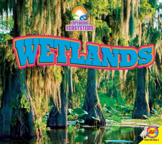 Knjiga Wetlands John Willis