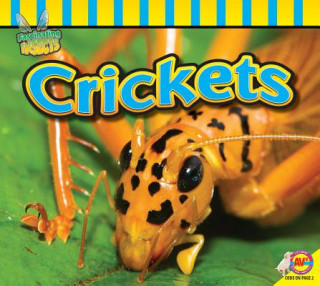 Książka Crickets John Willis