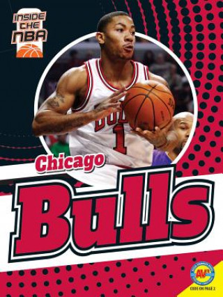 Kniha Chicago Bulls Josh Anderson